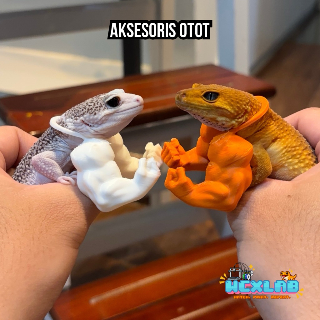 Aksesoris otot-ototan gecko