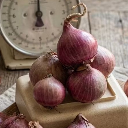 BAWANG MERAH IMPOR INDIA/ BAWANG PEKING
