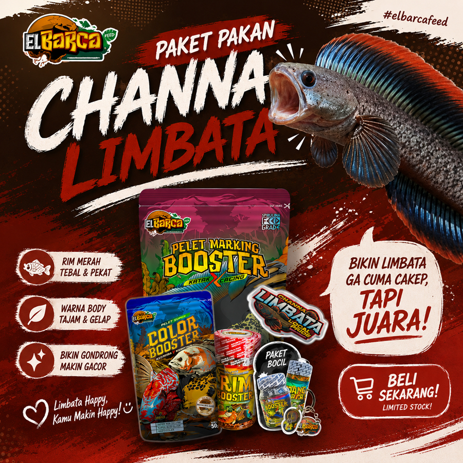 PAKET PAKAN CHANNA LIMBATA pakan PROGRESS Rim Merah Tebal, Sirip fin Kebiruan+Free Sticker Channa