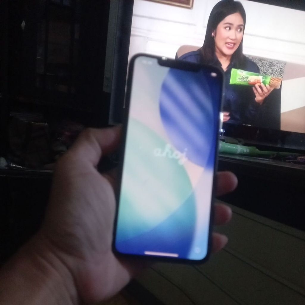 iphone 11 promax 256 lock icloud  mulusss