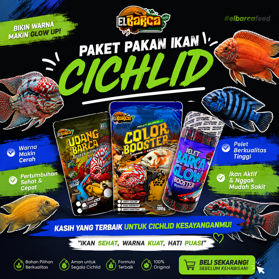 PAKET PAKAN IKAN CICHLID Pakan Organik semua jenis african, american Super Growth Color enhancer max