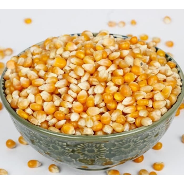 Jagung Pipil 1 Kg 1/2 Kg Jagung Pakan  Ternak Jagung Pakan Ayam Jagung Merpati