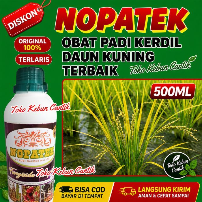 NOPATEK Obat Padi Menguning | Solusi Padi Kerdil Busuk Akar & Pucuk Kriting
