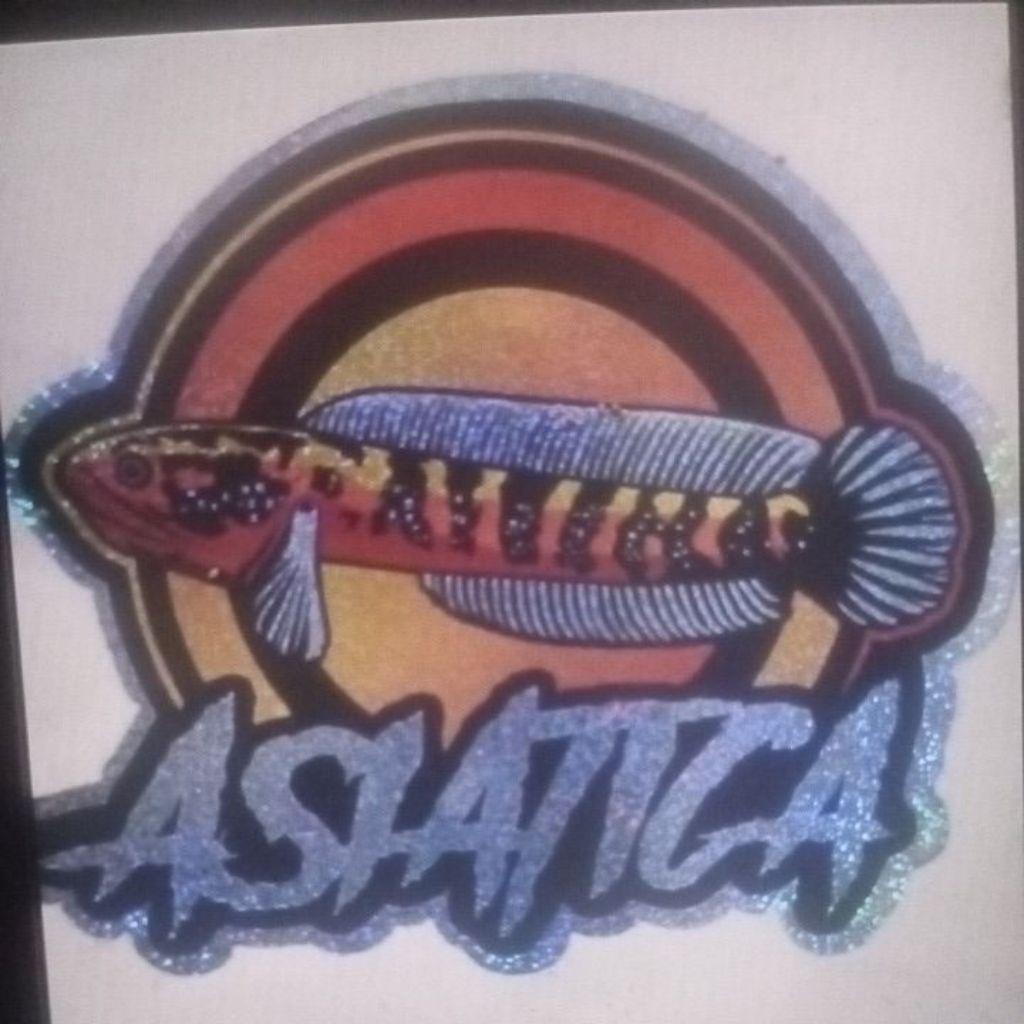 sticker chana asiatica