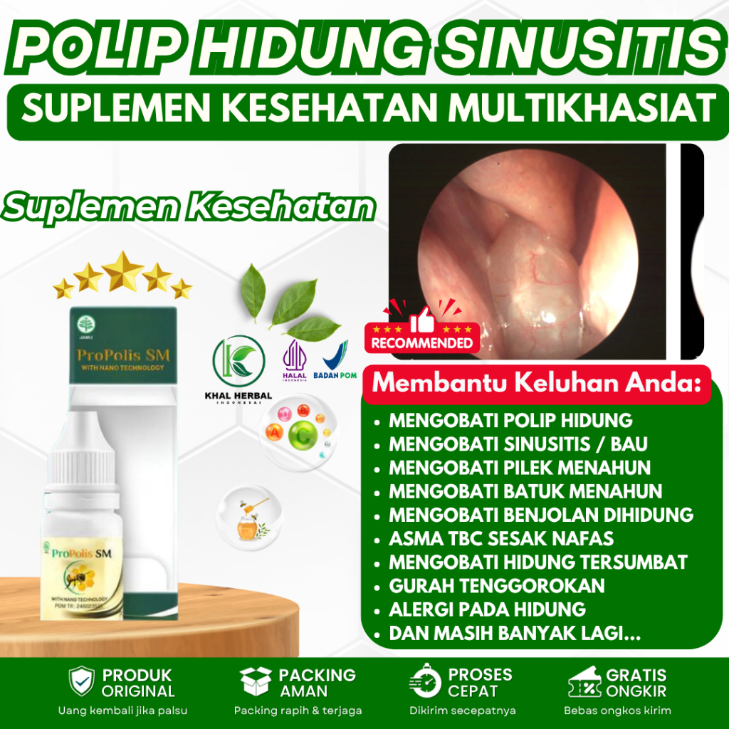 Obat Pilek Menahun Radang Sinus Rhinitis, Obat Flu dan Pilek Menahun - Obat Sinusitis - Obat Polip H