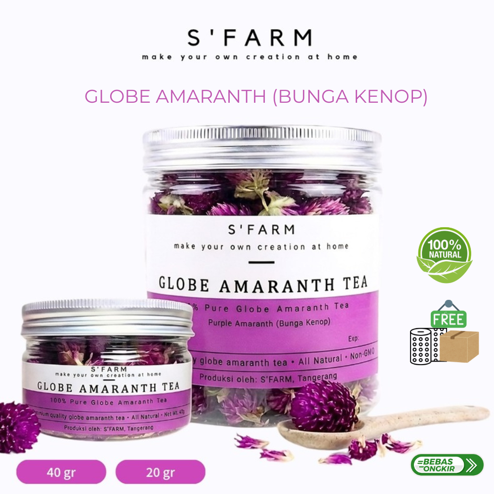Teh Bunga Kenop - Globe Purple Amaranth Tea SFARM