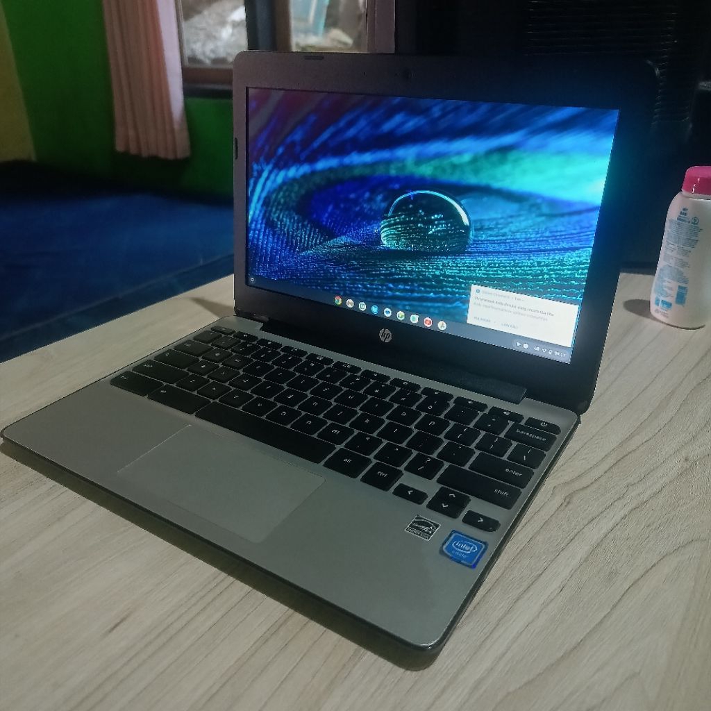 Hp Chromebook +adaptor normal100%