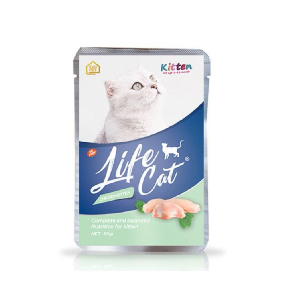 life cat chiken kitten