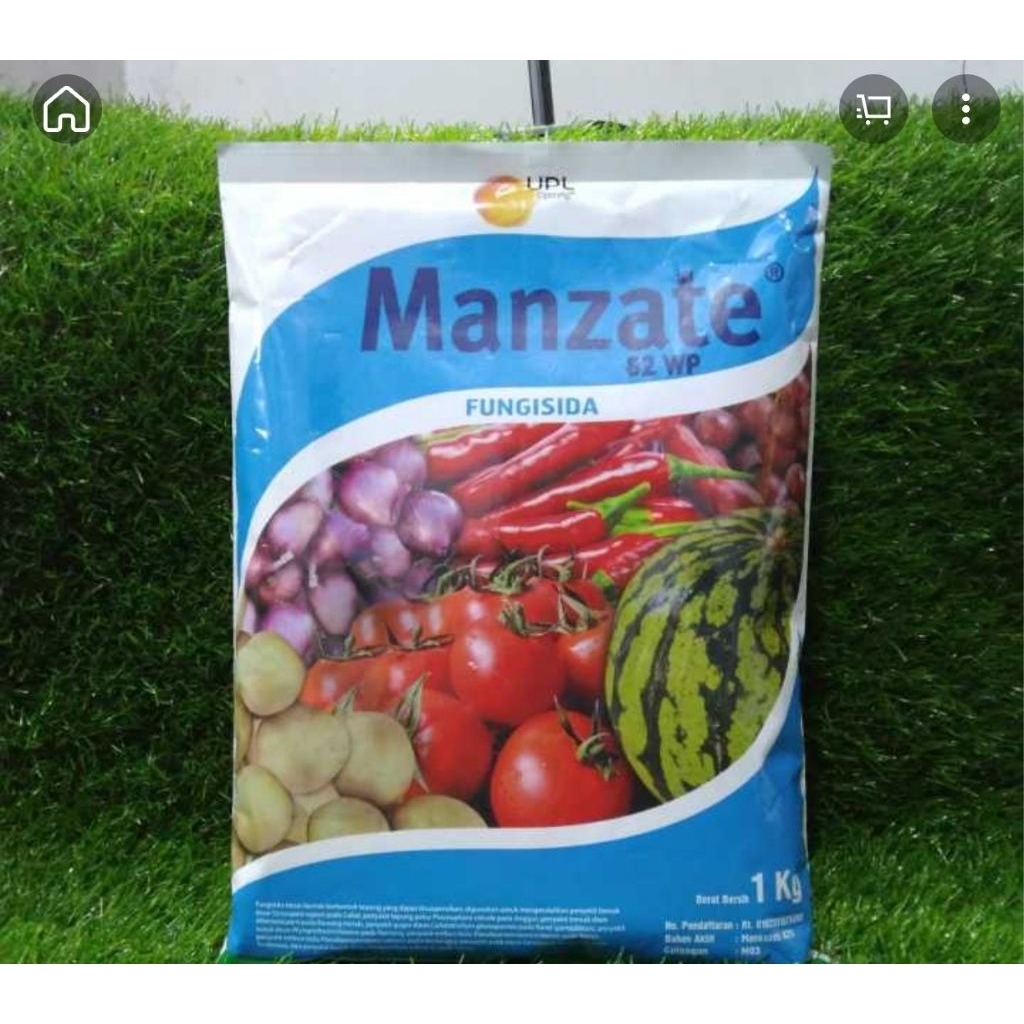 Manzate 82 WP
