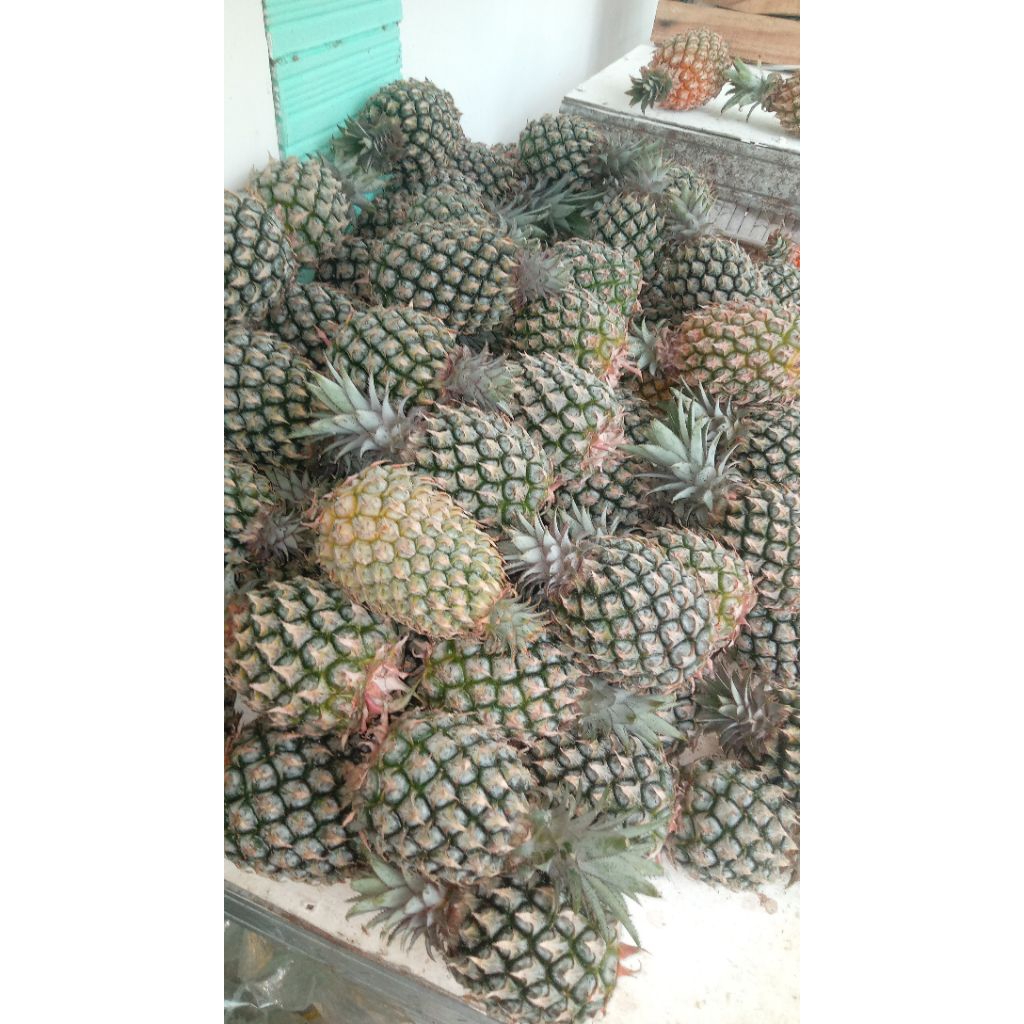 Nanas madu kelud