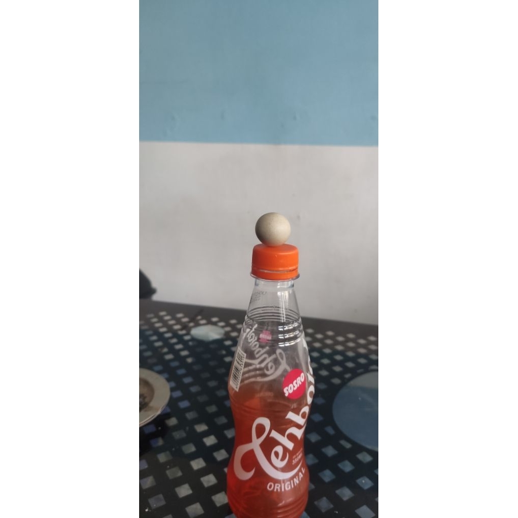 MUSTIKA TELOR AYAM JANTAN ASLI