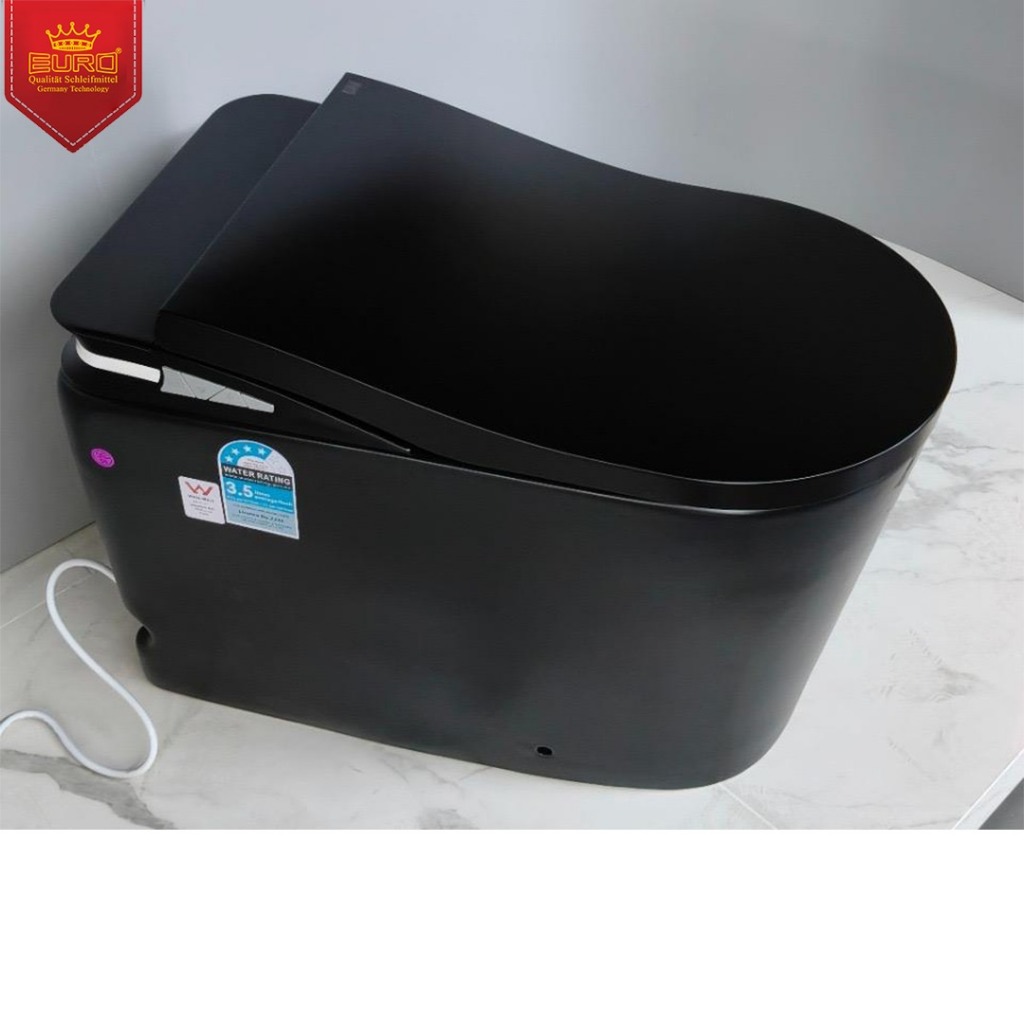 Smart Closet Toilet Europe Enchanting luxury otomatis cover