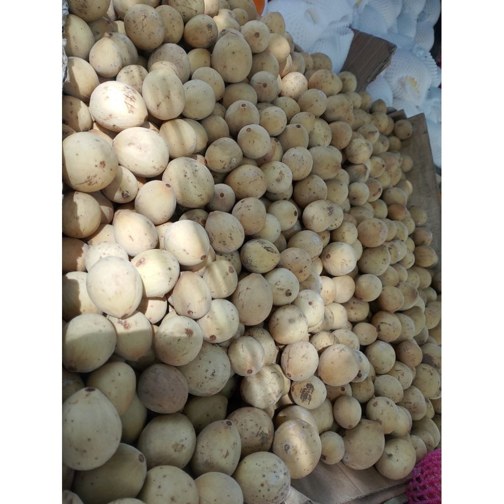 duku asli palembang 1kg surabaya