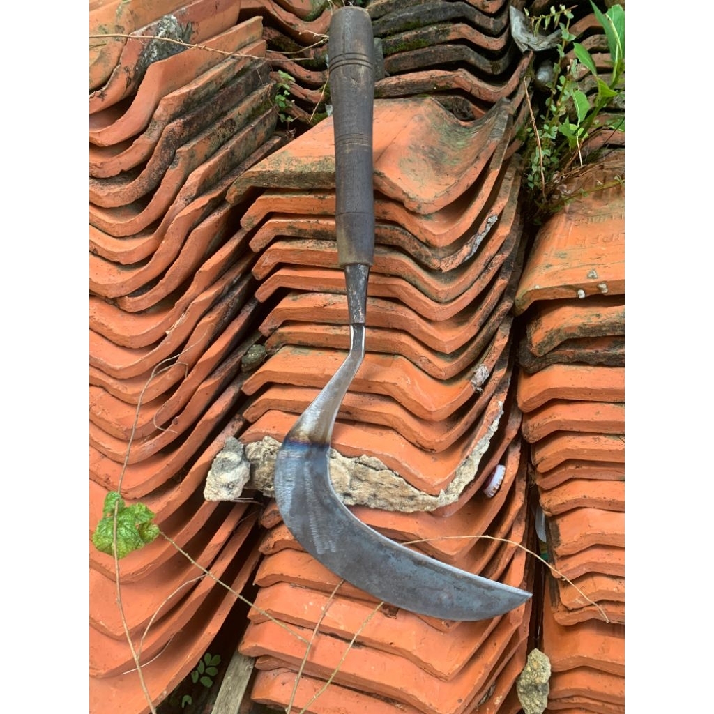 1PCS SABIT RUMPUT KHAS KOTA MALANG FUL BAKA ASLI SUPER KUAT DAN TAJAM