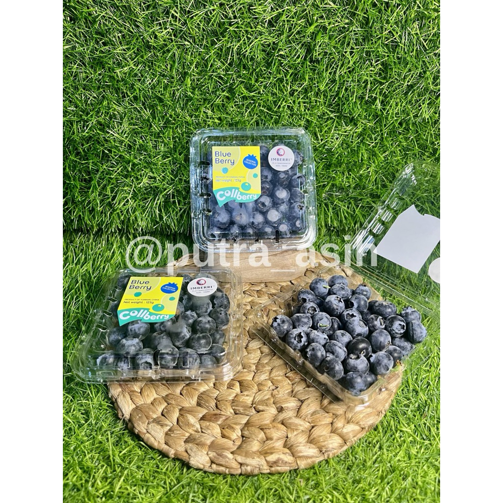 Fresh Blueberry 125gr