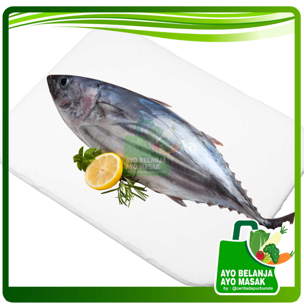 IKAN TONGKOL SEGAR Per 500 gram [Ayo Belanja - Sayur Jogja]