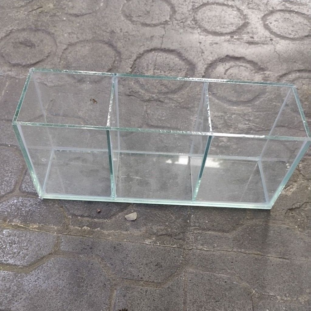 aquarium cupang sekat 2 isi 3cupang