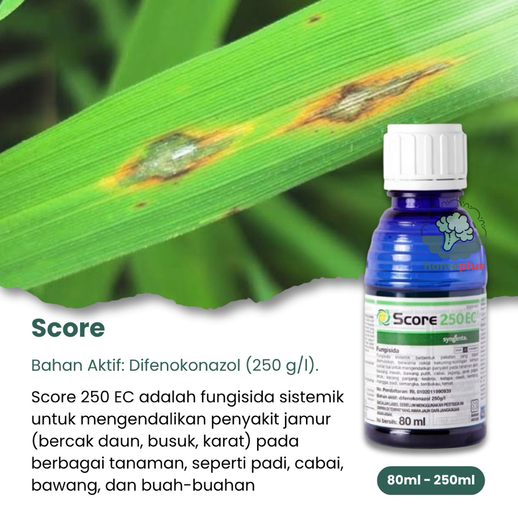 Score 250EC Fungisida Sistemik - Efektif Untuk Mengendalikan Bercak Daun