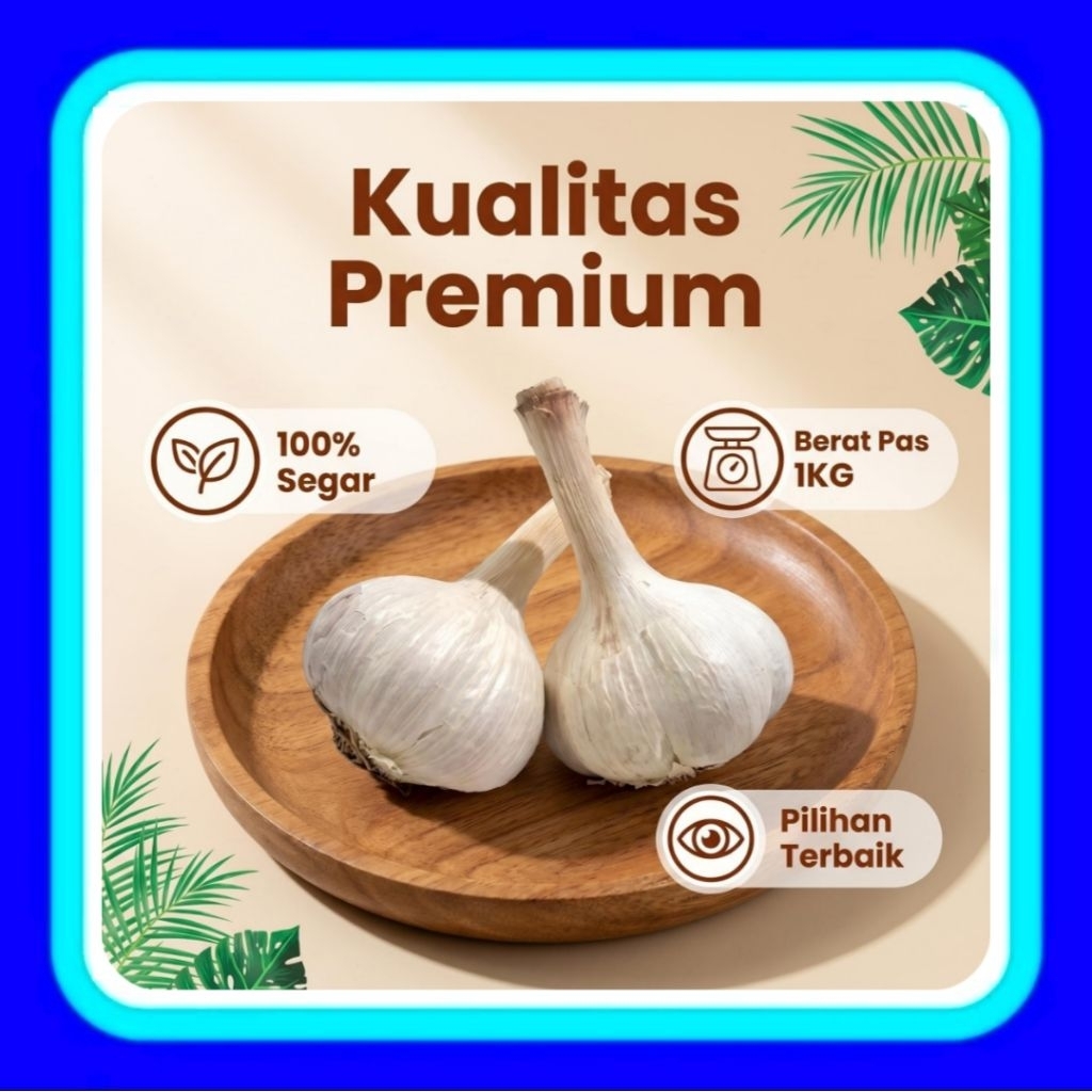 BAWANG PUTIH KATING PREMIUM BAWANG PUTIH KUPAS  BAWANG PUTIH KUPAS PREMIUM BAWANG PUTIH SEGAR BAWANG