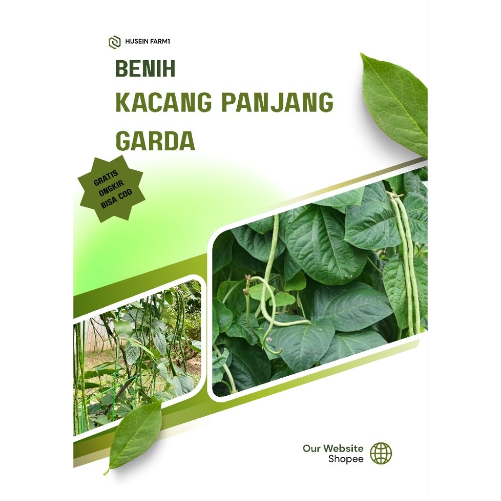 Benih Unggul (100gr) Kacang Panjang Garda