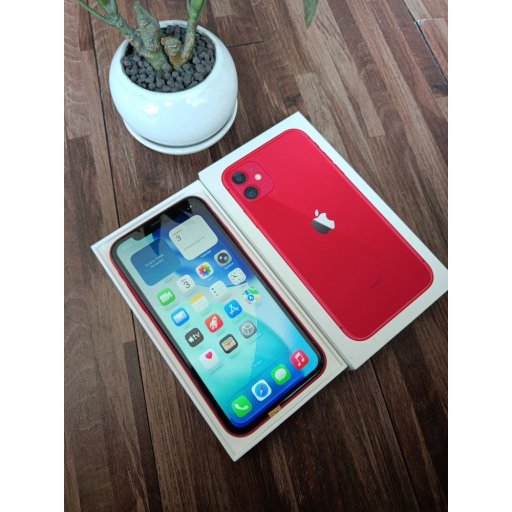 iPhone 11 Second Bekas Original