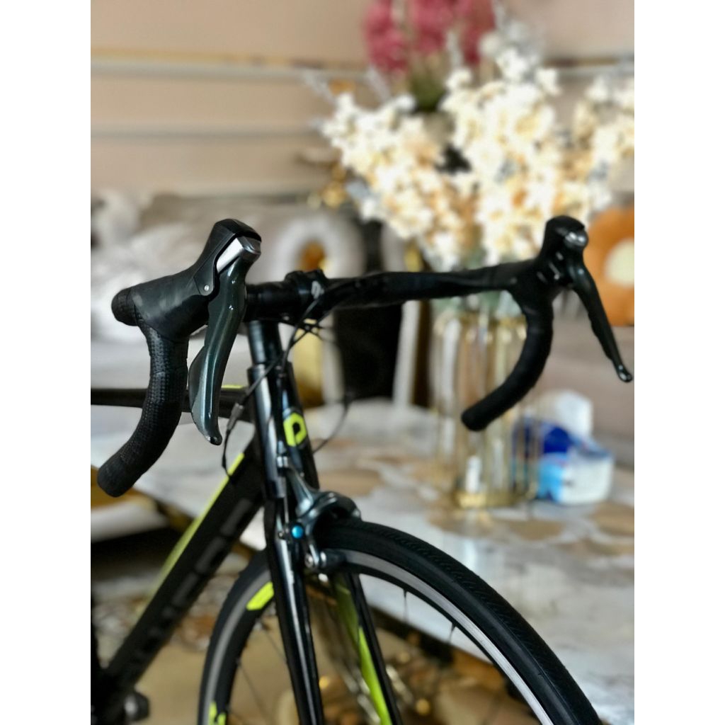 Polygon startos s4 size S