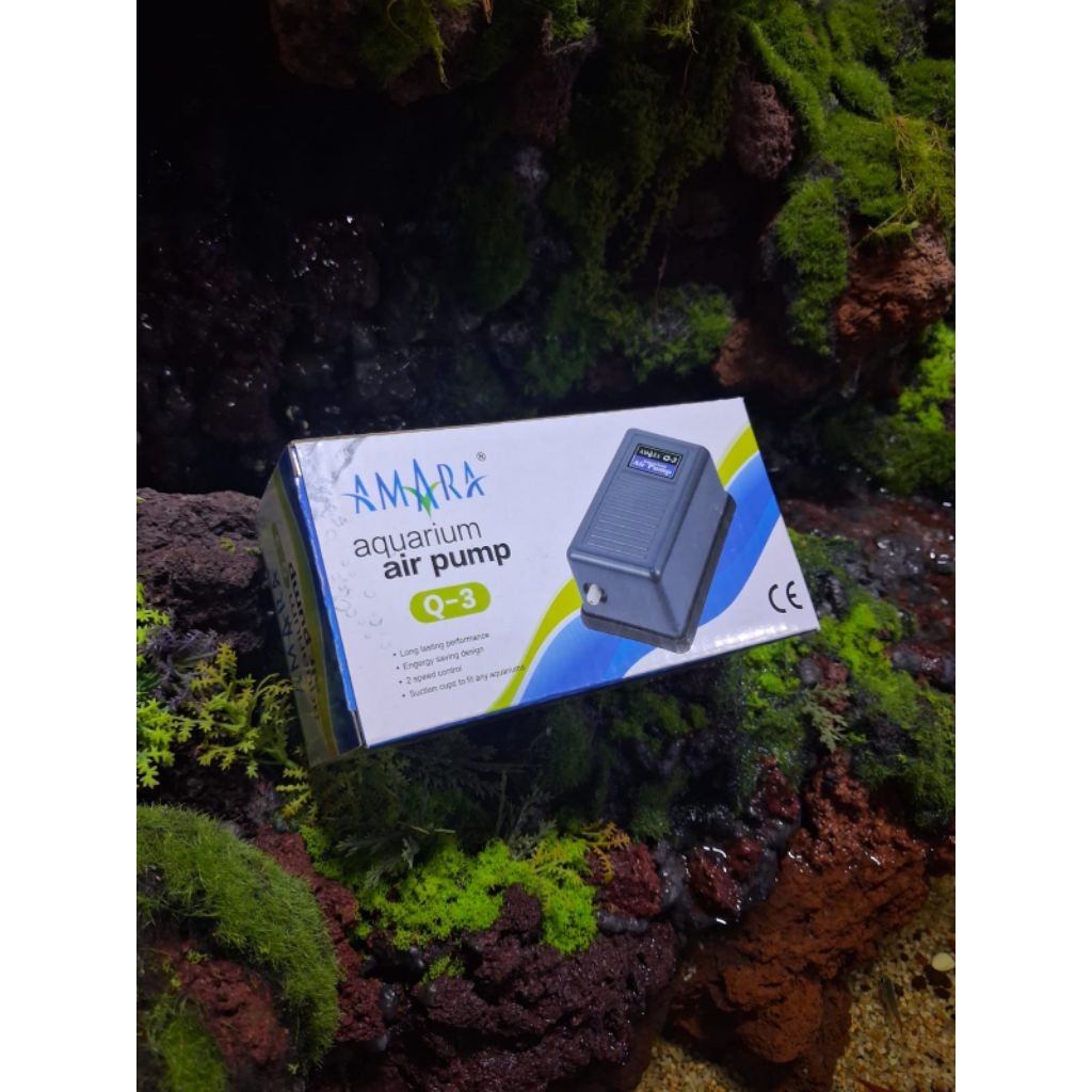 Amara air pump Q3
