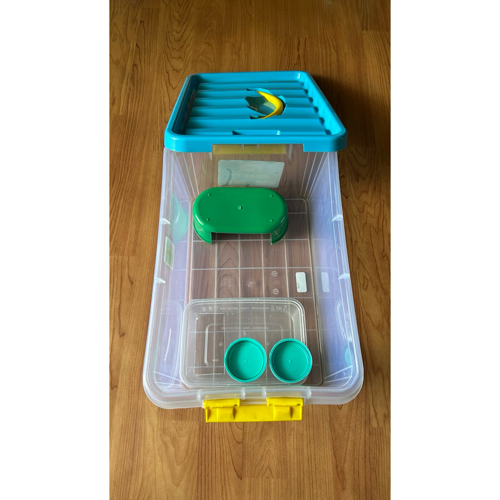 Tempat box untuk gecko