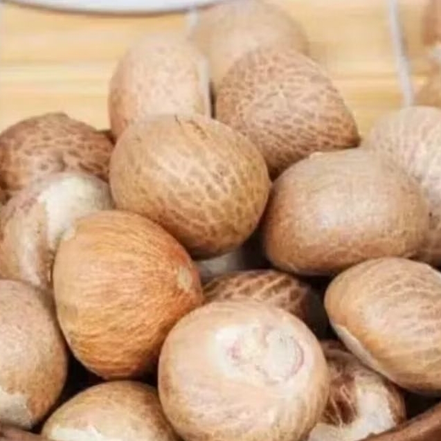 (20 Biji) Pinang Kupas Utuh Penuh Manfaat | Biji Buah Pinang Kupas Kering Berkualitas Jambe