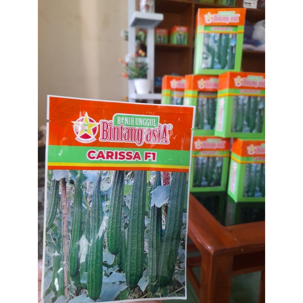 Oyong Carissa F1
