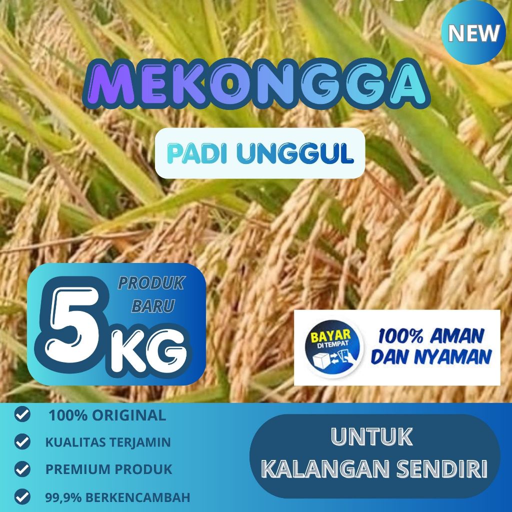 Benih Padi Mekongga 5kg Premium Padi Unggul Bibit Unggul