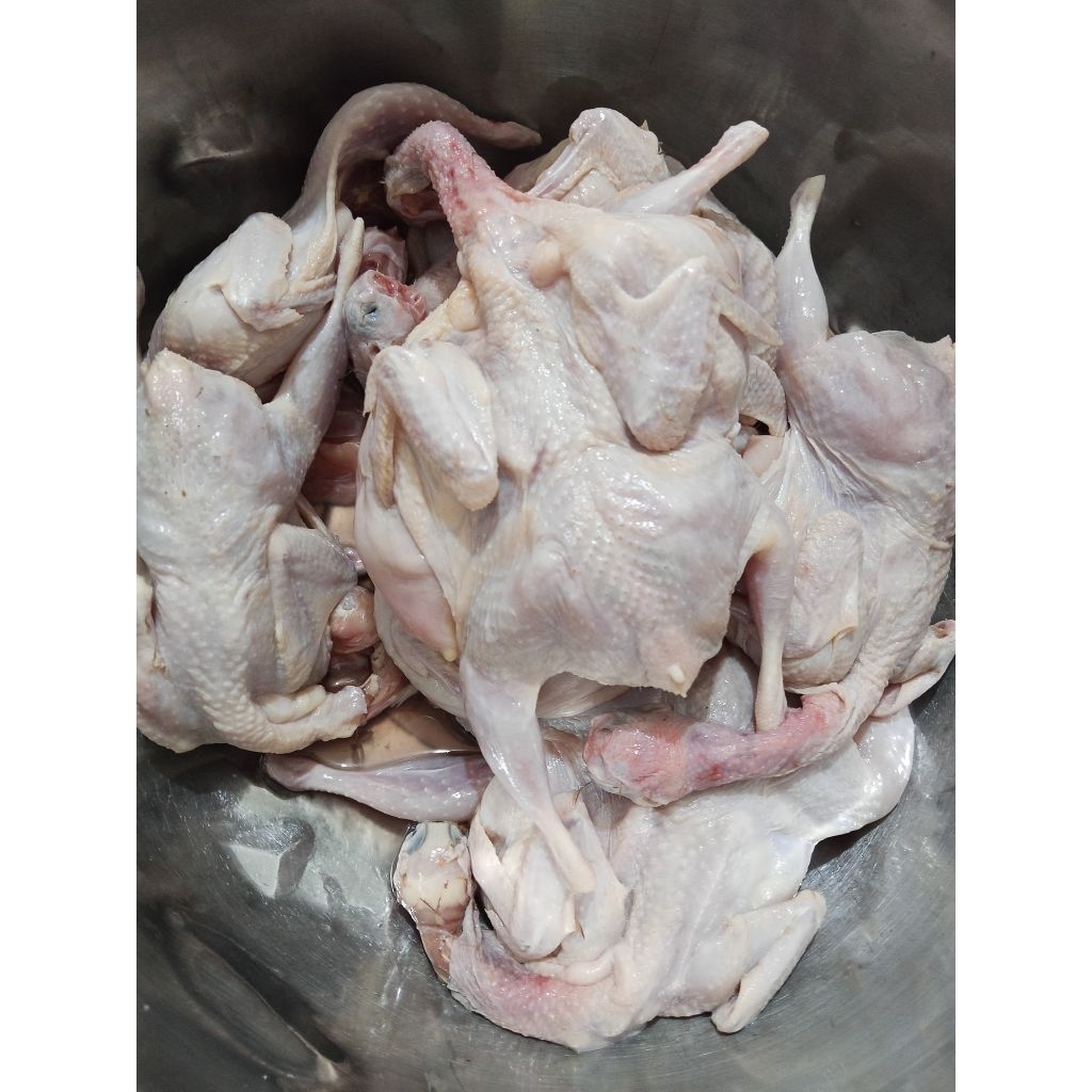 Burung Puyuh Frozen isi 10 ekor/Pack