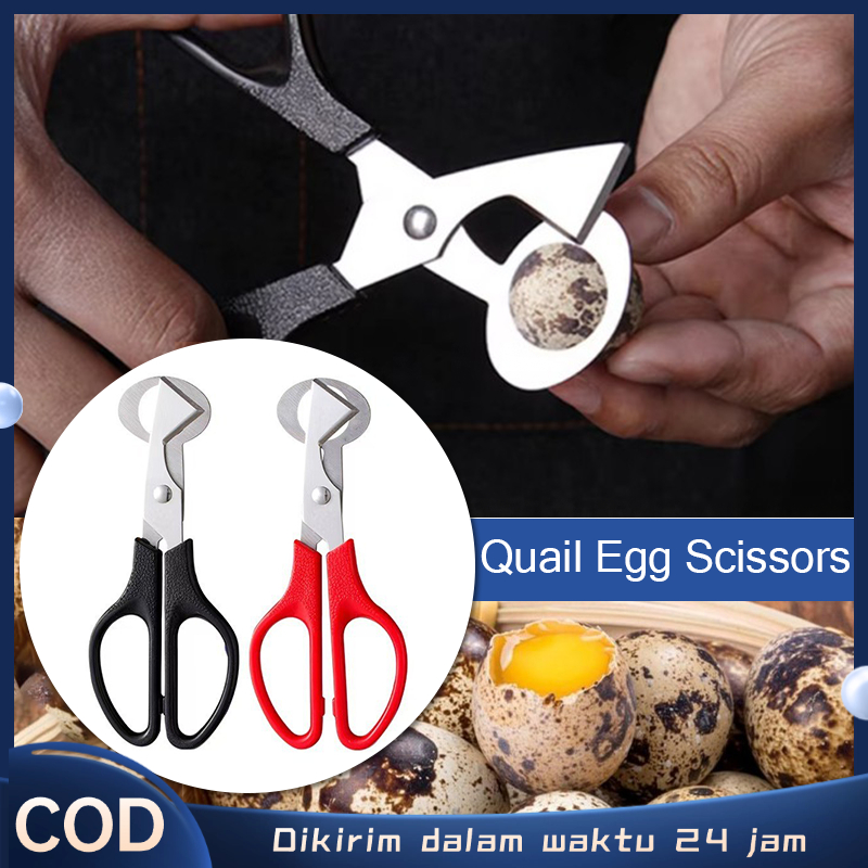 Gunting Pembuka Telur Puyuh Alat Pembuka Telur Puyuh Pemotong Cangkang Telur Puyuh Alat Potong Telur
