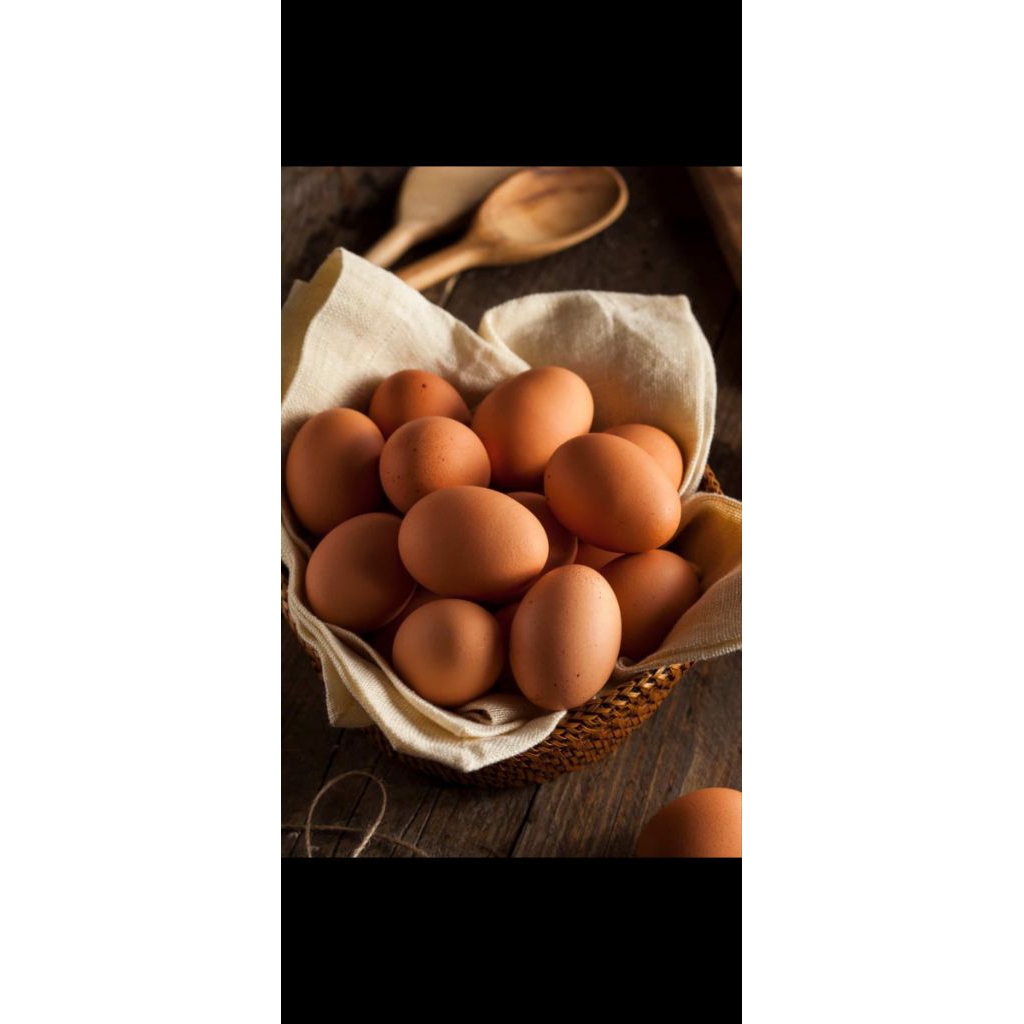telur ayam negeri1kg