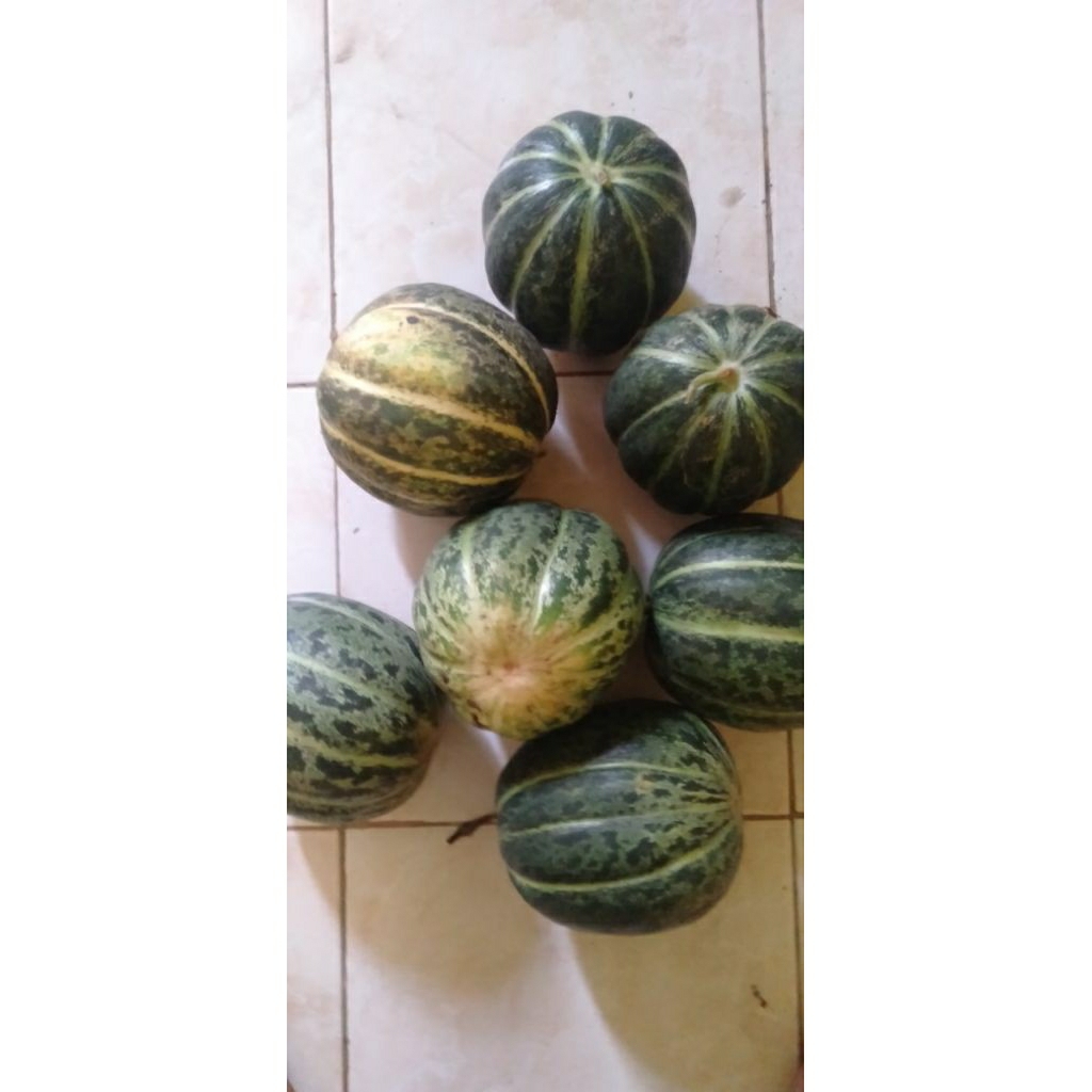Buah Balewah Blewah Belewah segar