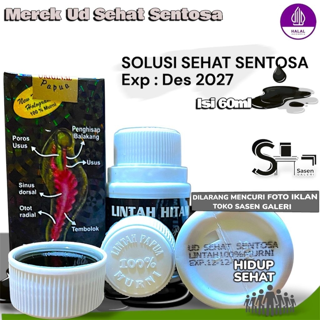 LINTAH SEHAT SENTOSA Lintah Sehat Sentosa Original Isi 60ml Minyak Lintah Merk Sehat Sentosa
