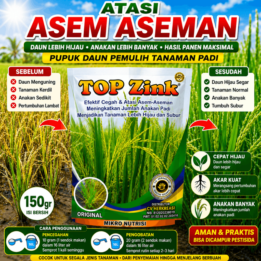 TOP ZINK 150gr Pupuk Padi Anti Asem Aseman Penghijau Daun Pemulih Padi Kuning & Kerdil