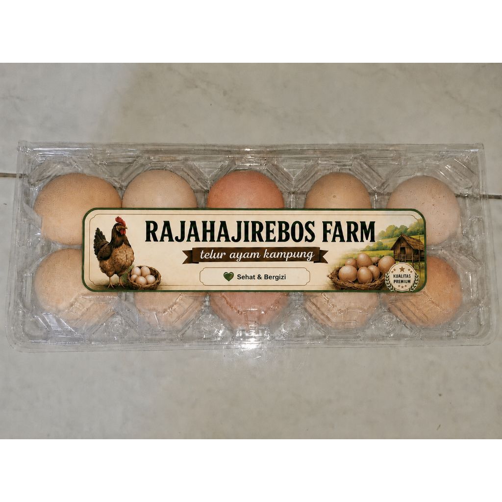 Telur fertil ayam kub