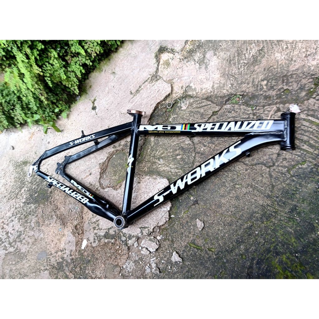 Bisa TT Frame Specialized S-Works