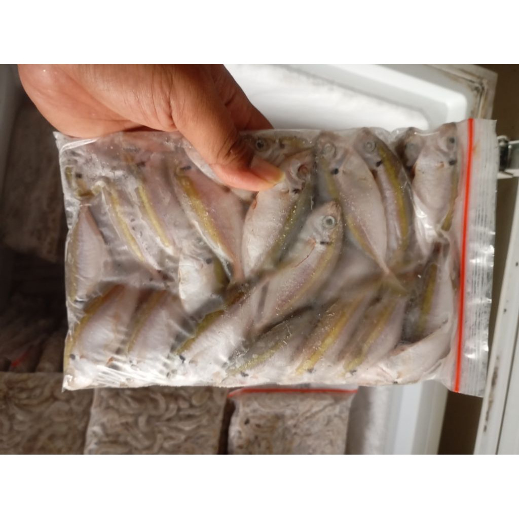 Ikan selar beku kemasan 500gr