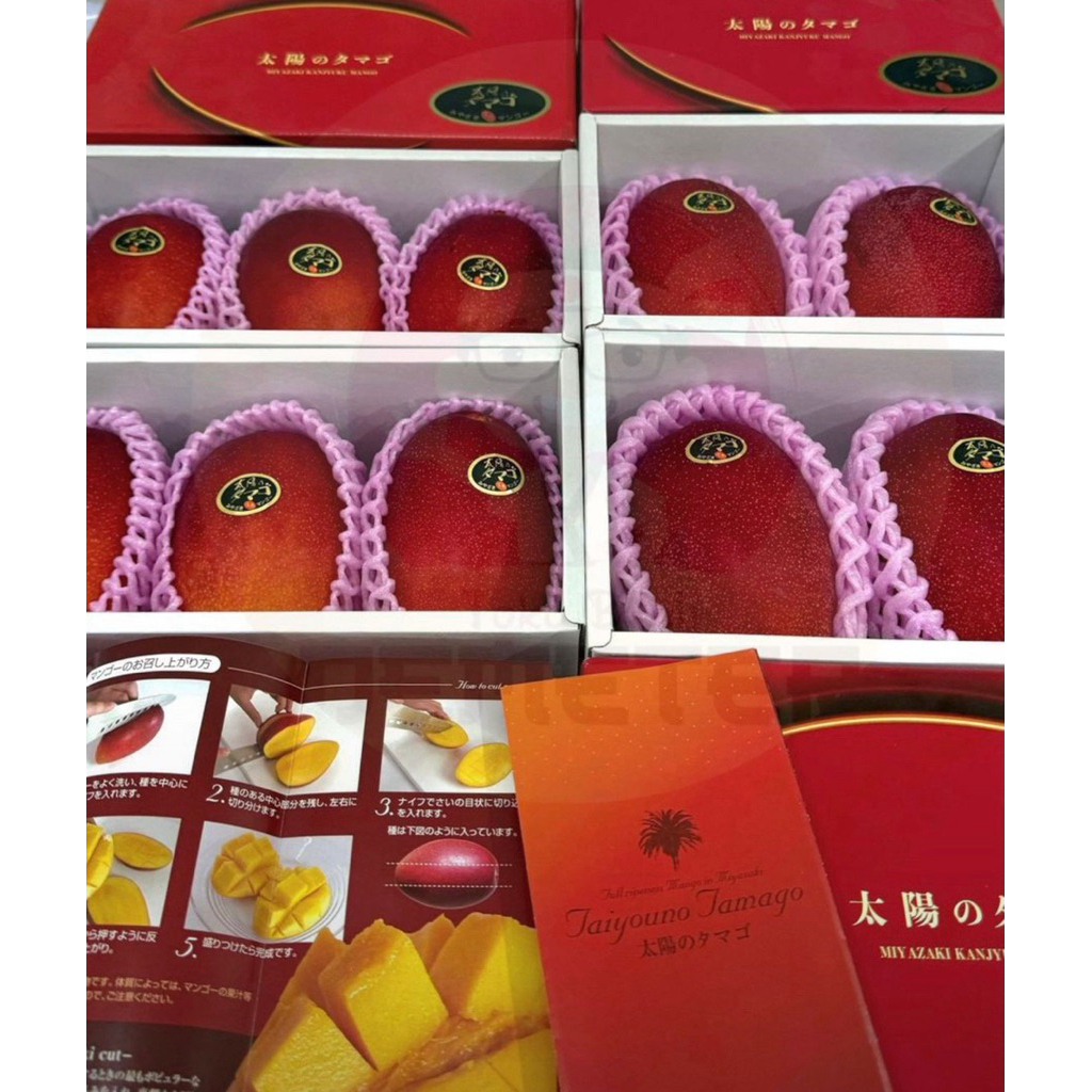 Mangga Miyazaki Jepang Premium | Mangga Jepang Super
