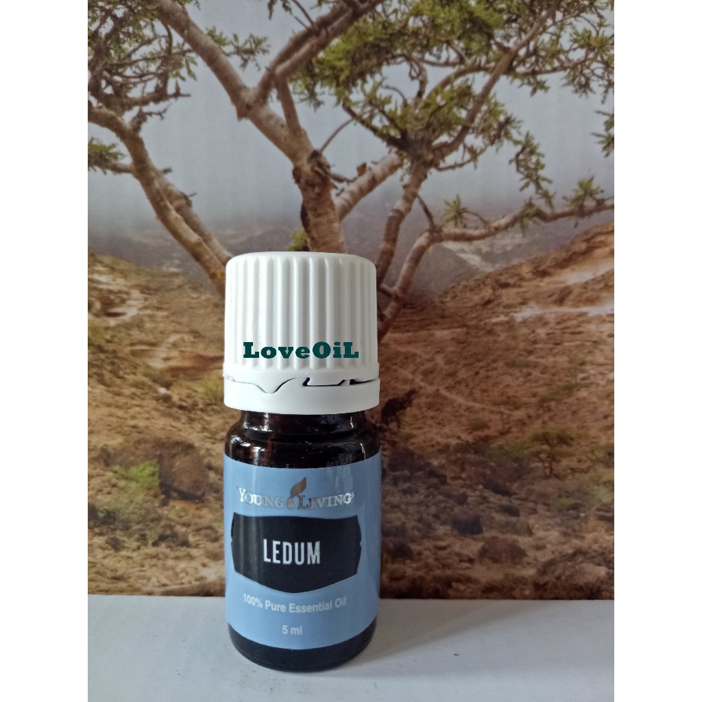 LEDUM 5ML ESSENTIAL OIL LEDUM