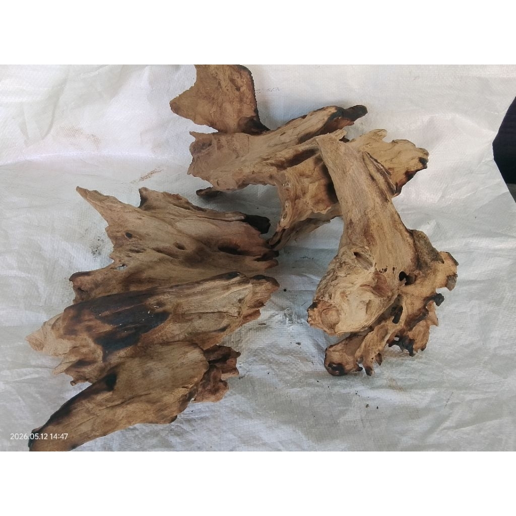akar kayu jati 1kg. aquascape. fosil. kayu fosil.  kayu keras anti rayap. promo. terbaru. cod. terla