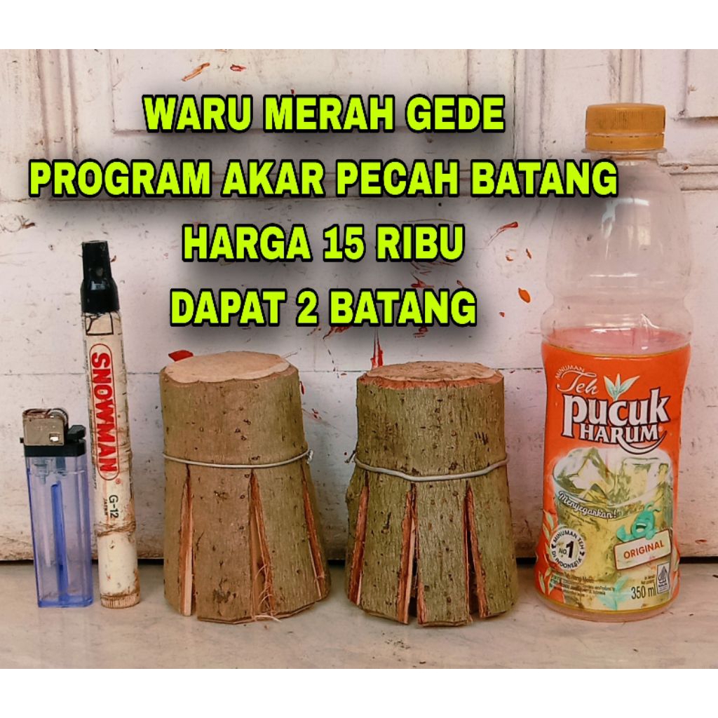 waru merah gede fresh 15.000 dapat 2 pecah batang.