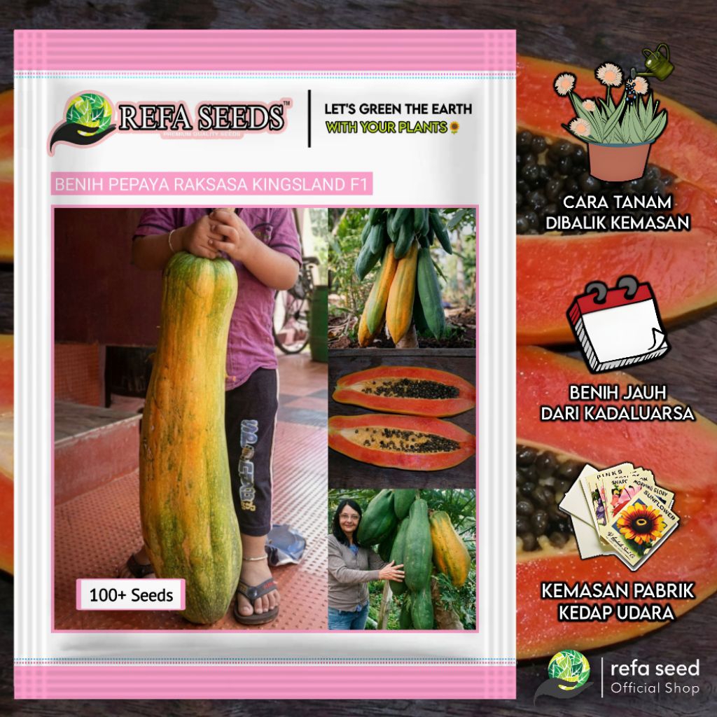 100 Biji Benih Pepaya Raksasa Kingsland F1 | Kemasan Pabrik | Pepaya Jumbo | Mudah Berbuah