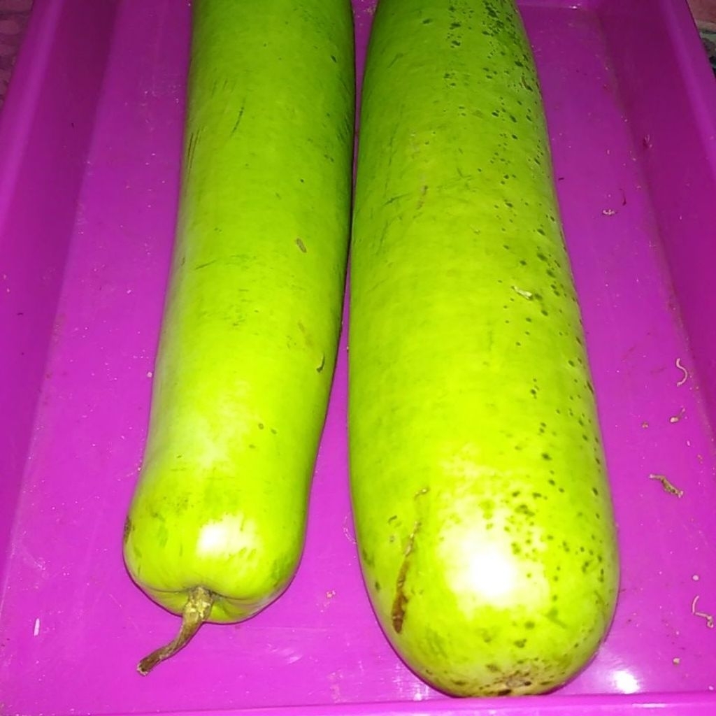 Sayur buah bloceng blonceng petik segar