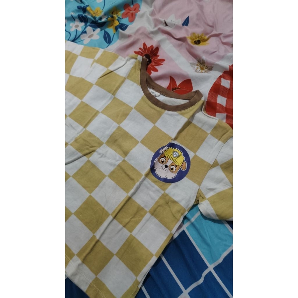 preloved bohonpana paw patrol