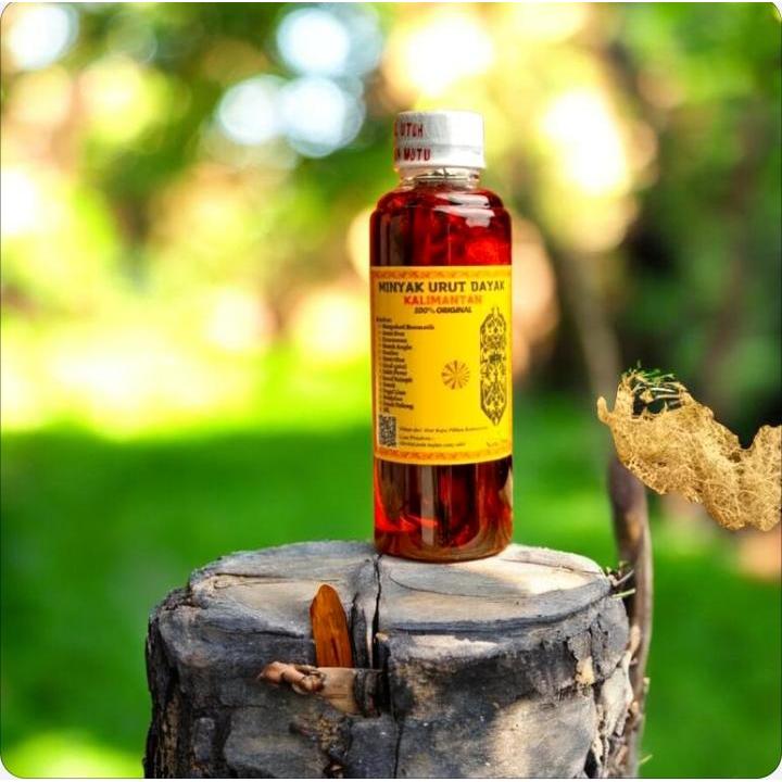 Minyak Urut Dayak Perisai Borneo 250ml - Herbal, Aman, Efektif