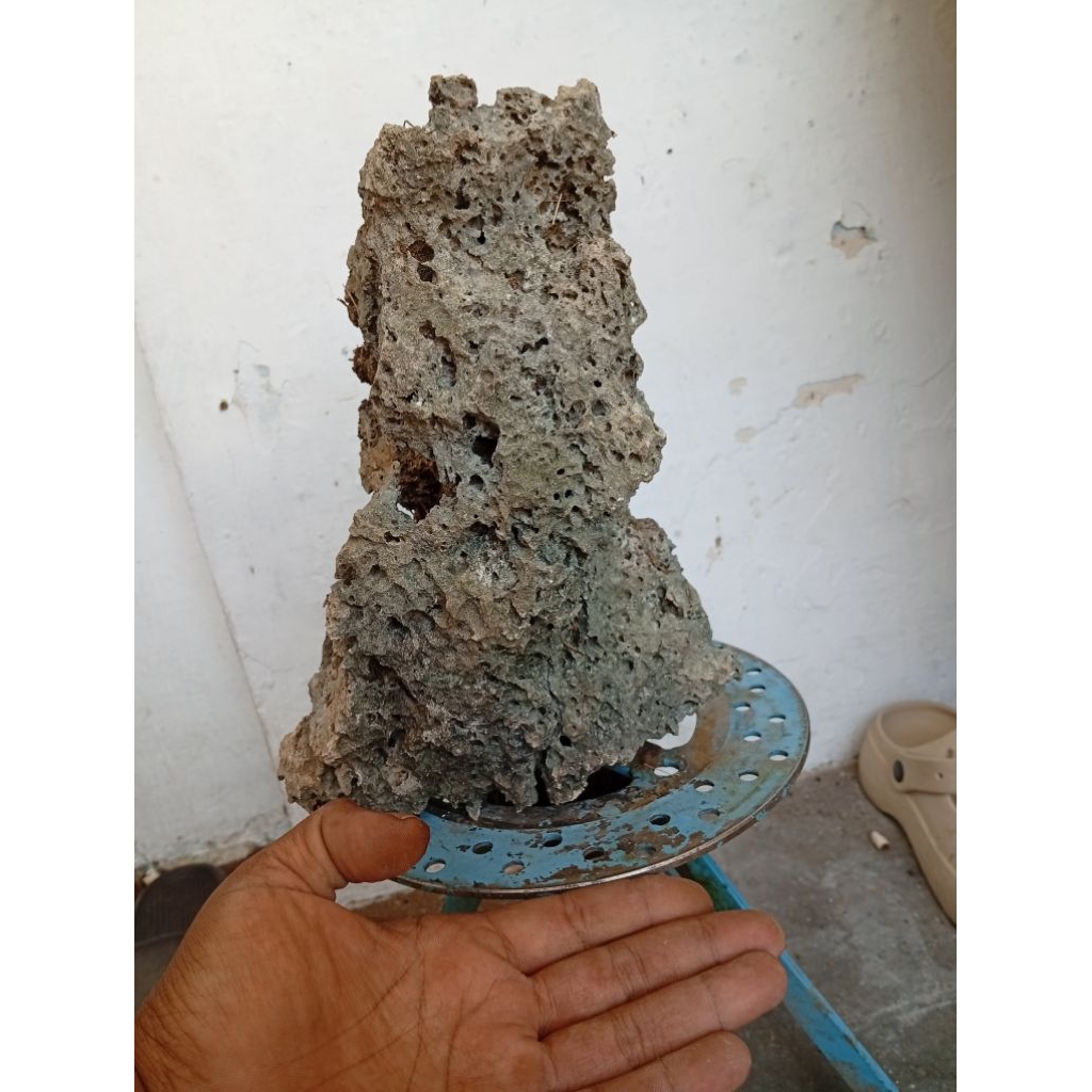 Batu karang / 3batu karang untuk bonsai OTR sesuai foto