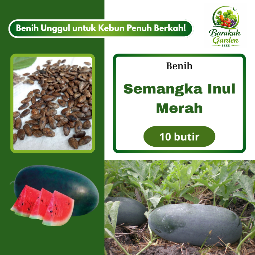 10 butir BENIH SEMANGKA INUL MERAH JUMBO UNGGUL I EXTRA BONUS